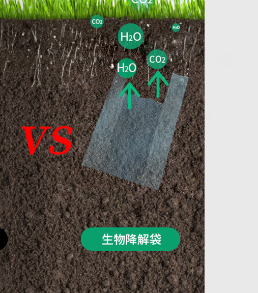 可生物降解環保塑料可以回收再利用嗎？(圖1)