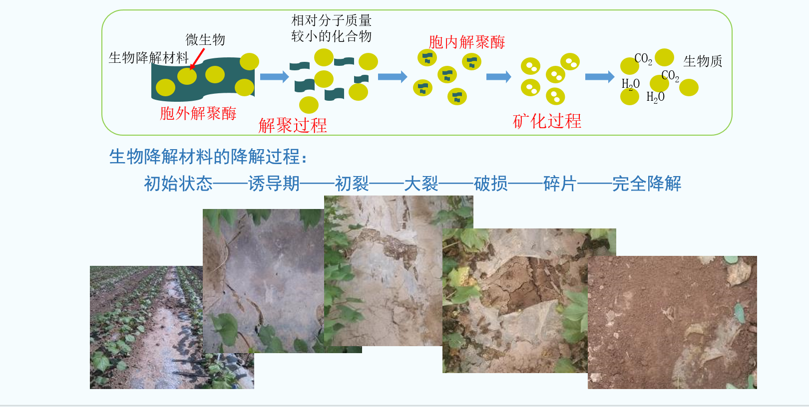 什么是完全生物降解袋材料(圖1)