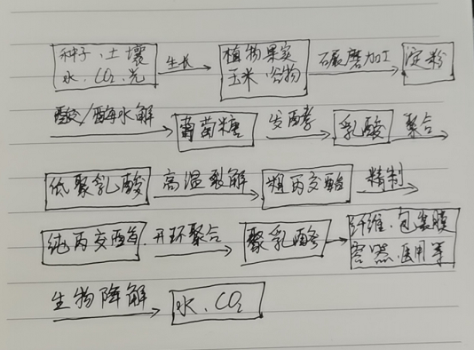 生物降解袋中的PLA是如何制得的？(圖1)