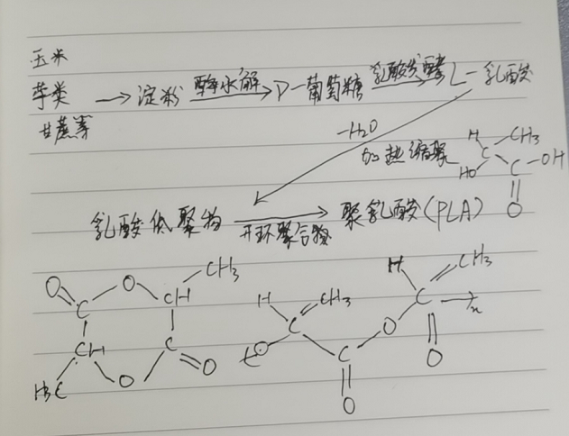 生物降解袋中的PLA是如何制得的？(圖2)