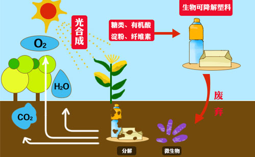 知名廠家?guī)銇砜纯山到獍b袋的市場優(yōu)勢(圖1)